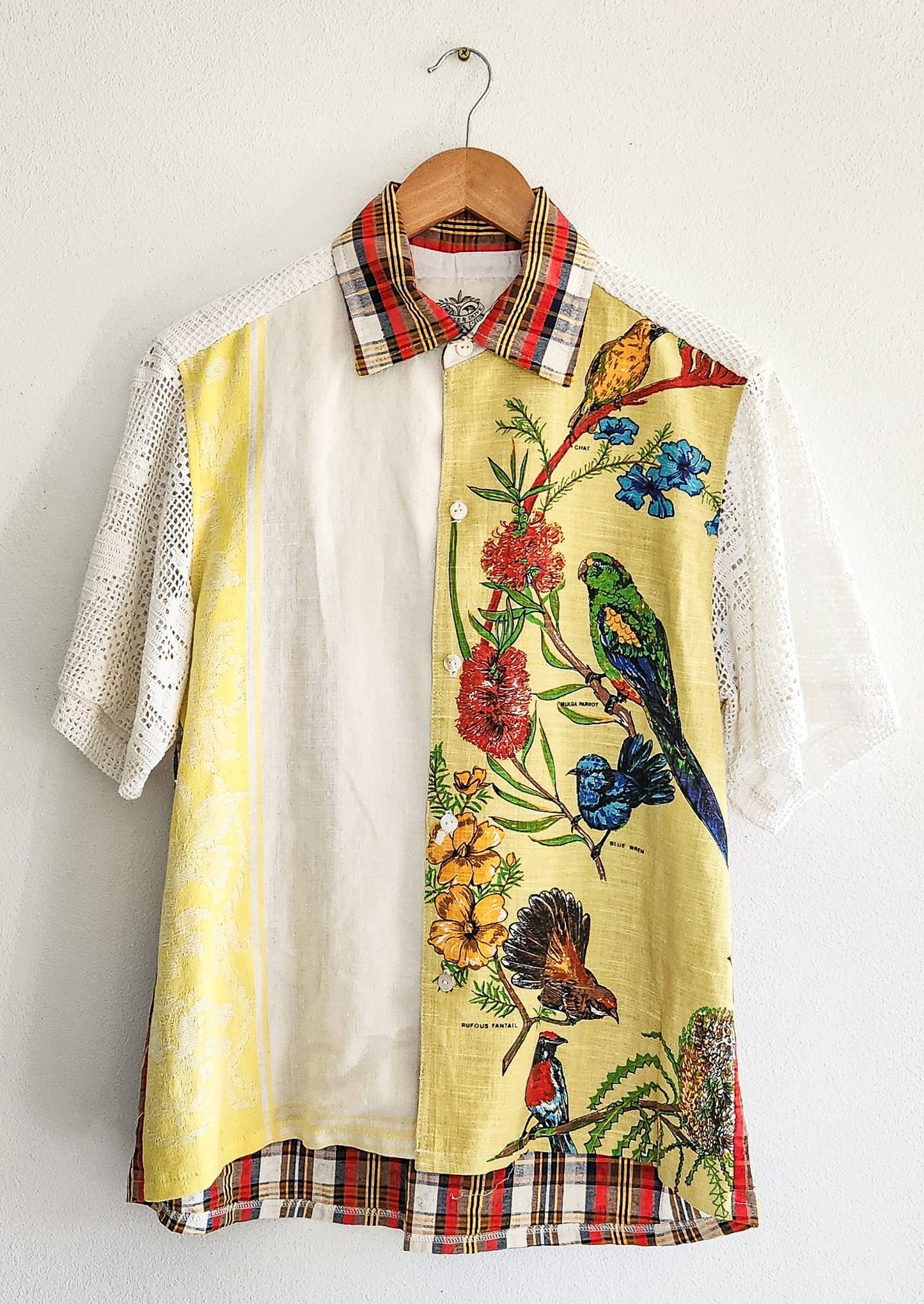 Darwin - Shirt